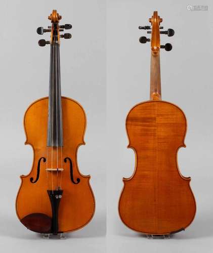 Violine im Etui