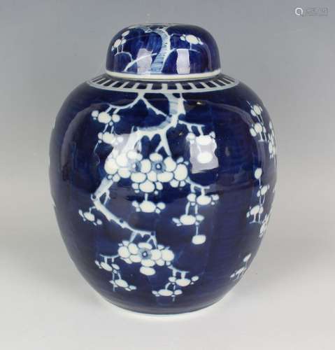 A Chinese blue and white porcelain ginger jar and cover