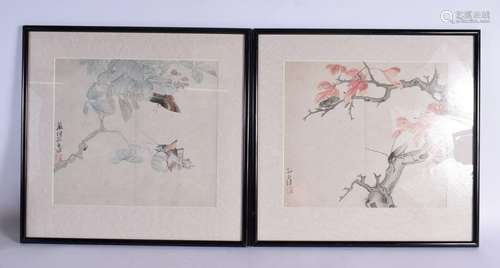 Chinese School (19th/20th Century) Pair, Watercolour, Insect...