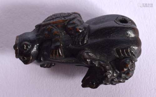 A JAPANESE CARVED FROG BOXWOOD NETSUKE 4 cm x 1.5 cm.