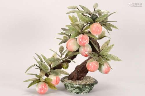 Chinese Jade Peach Tree,