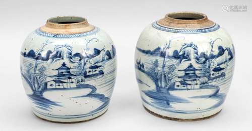 Pair of ginger pots, China, 19th ce