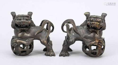 Pair of bronze lions with breed eff