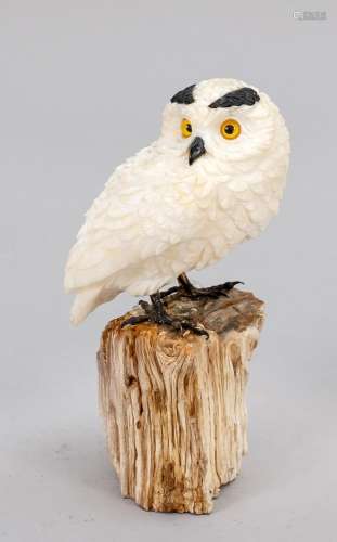 Snowy owl, 2nd half of the 20th ce