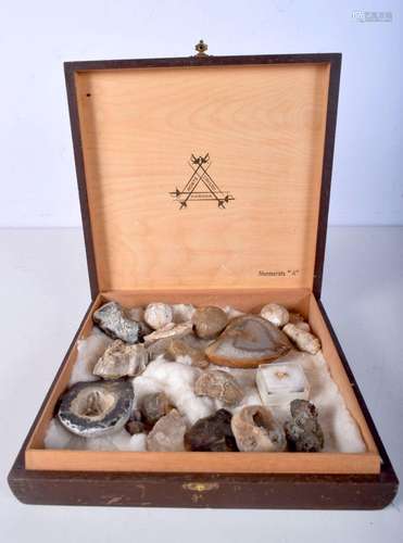 A small collection of fossil and geology samples, polished s...