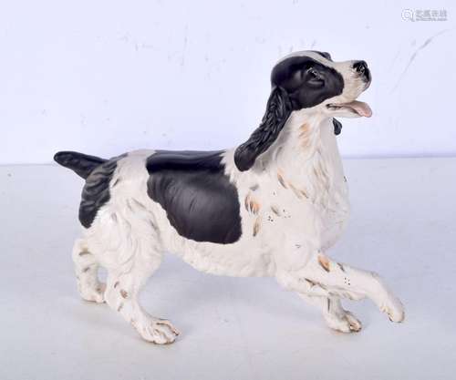 A porcelain Beswick Cocker Spaniel dog. 18 x 20cm.