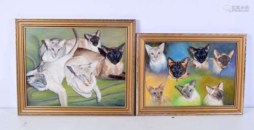 A pair of framed studies of Siamese cats oil on board 30 x 3...