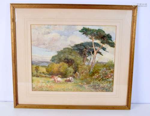 A large framed watercolour of a rural scene 37 x 46 cm.