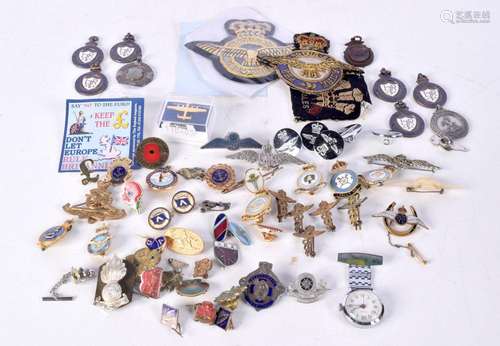 A collection of enamelled badges and insignia RAF, Nursing ,...