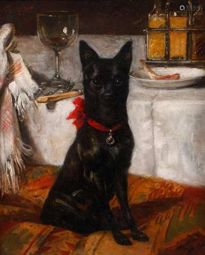 Steinhardt, Hundeportrait