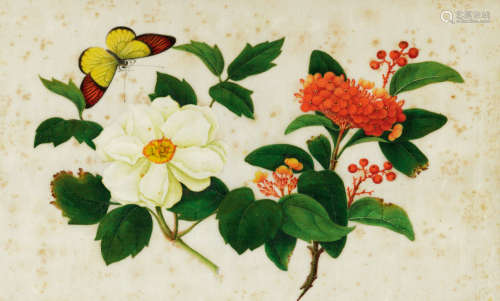 1850s 蝴蝶与花卉通草画 通草画/Watercolor on Pith Paper
