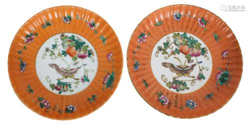 Pair of Chinese Famille Rose Porcelain Plates