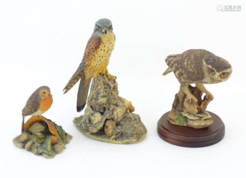 Three Border Fine Arts models of birds comprising a kestrel ...