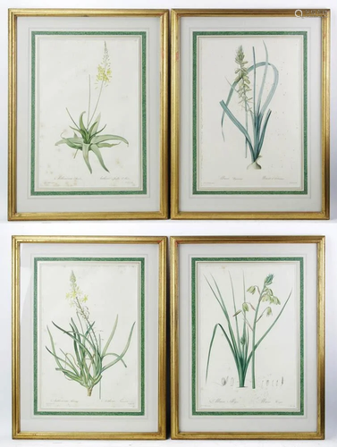 Set of 19thC French Colored Botanical Prints