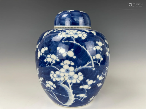 Chinese Ice_Plum Blue White Porcelain Lidded Jar