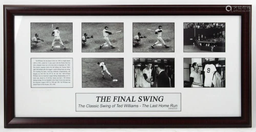 David Marlin, The Final Swing of Ted Williams