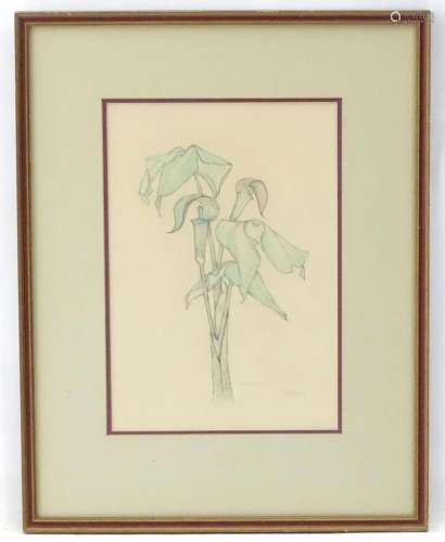 Barbara C. Bryan, 20th century, Watercolour, Jack in the Pul...