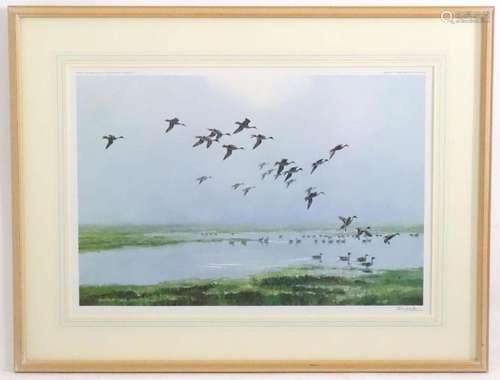 After Peter Scott (1909-1989), Signed colour print, Pintails...