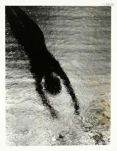 Fritz Brill (1904-1987), ''Swimmer