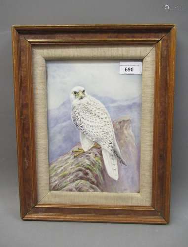Malvern porcelain plaque painted with a Gyrfalcon, signed R....