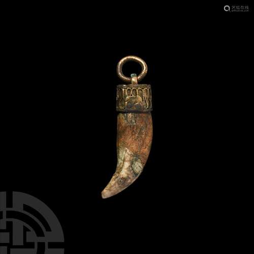 Large Viking Period Bear's Tooth Pendant