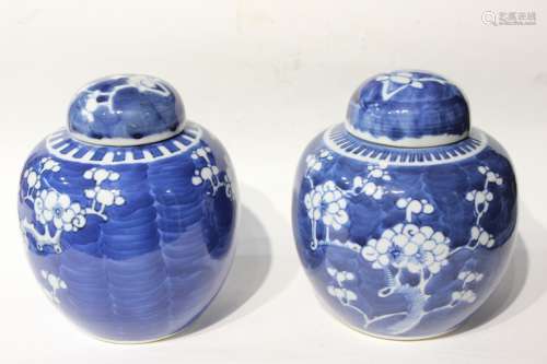 Pair Chinese Blue and White Porcelain Lid Jar