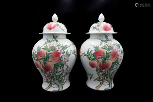 A pair of ancient Chinese 19th century porcelain