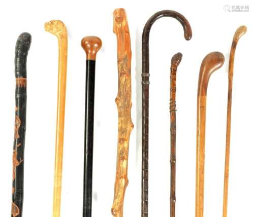 A SELECTION OF EIGHT VARIOUS WOOD WALKING STICKS