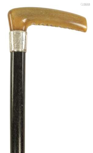 A LATE 19TH CENTURY HORN HANDLED EBONISED WALKING STICK