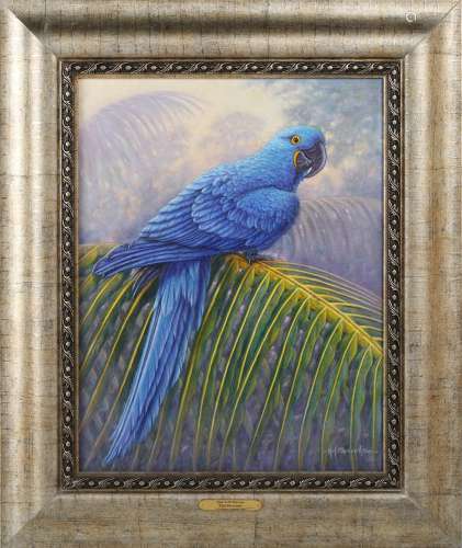Kim Brooks - 'Hyacinth Macaw'