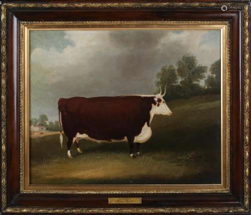 Attributed to Thomas Weaver - Prize Brown Hereford Bull