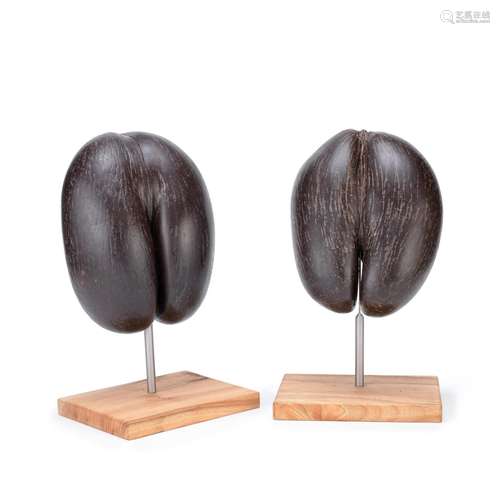 【Y】A pair of Coco de Mer nuts (Lodoicea Maldivica) on stands...