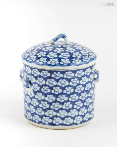 A Chinese Qing dynasty blue and white jar and cover