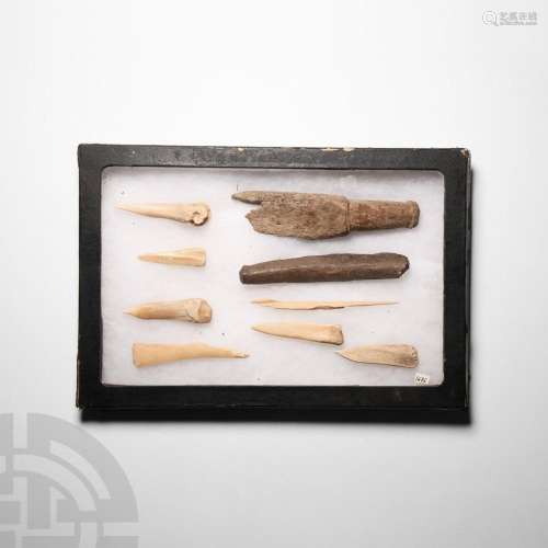 Stone Age Bone Tool Collection