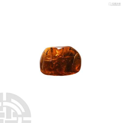 Insects in Baltic Amber