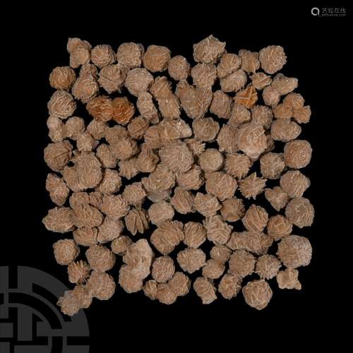 100 Gypsum Desert Rose Specimens