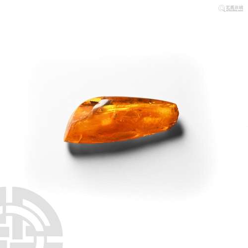 Polished Amber with Insect