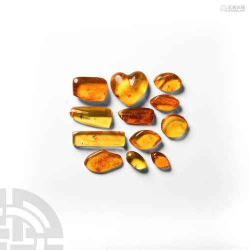 Insects in Polished Amber Collection