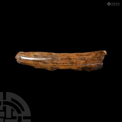 Mammoth Tusk Section