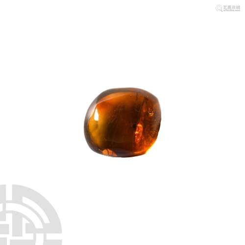 Insects in Baltic Amber
