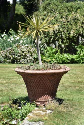 A PAIR OF LARGE BASKETWEAVE TERRACOTTA URNS PLANTED WITH SMA...