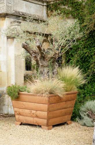 A PAIR OF LARGE MODERN HARDWOOD PLANTERS PLANTED WITH COPPIC...