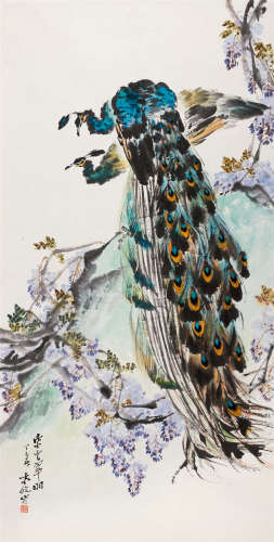 1977年作 袁晓岑 (1915-2008) 孔雀 设色纸本 镜心