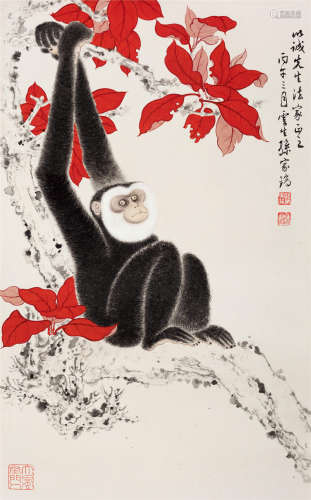 1966年作 孙云生(1918-2000) 猴趣图  设色纸本 立轴