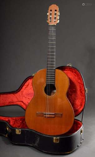 Classical guitar or Flamenco guit