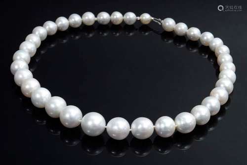 Silver white South Sea cultured p