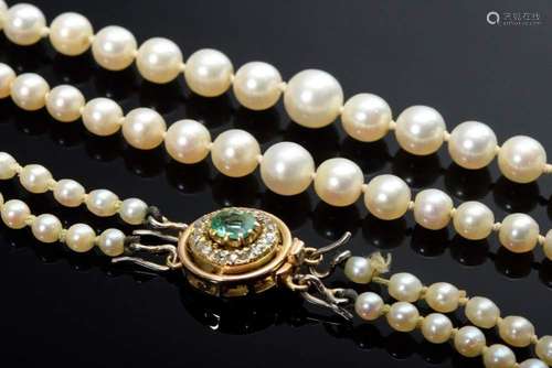 Two rows of cultured pearls on a