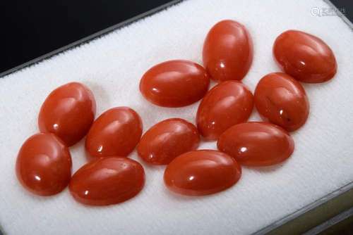 12 oval coral cabochons, together