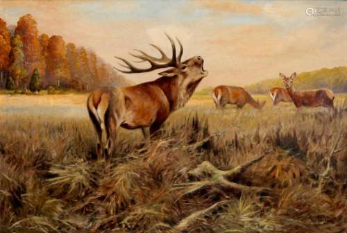 Willi Lorenz (1901-1981) Roaring deer, large painting, Röhre...