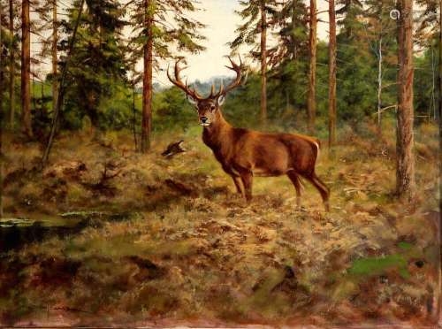George Majewicz (1897-1973) Deer in forest clearing, Kapital...